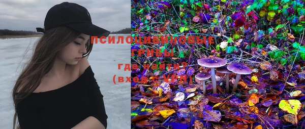MDMA Premium VHQ Инта