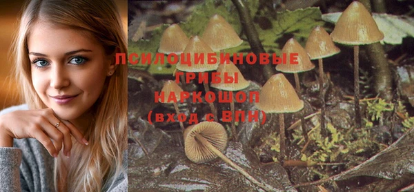 мескалин Инсар