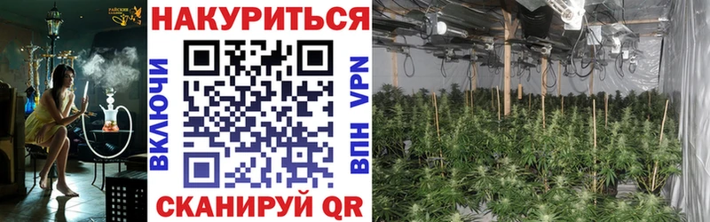 Конопля Bruce Banner Мурино
